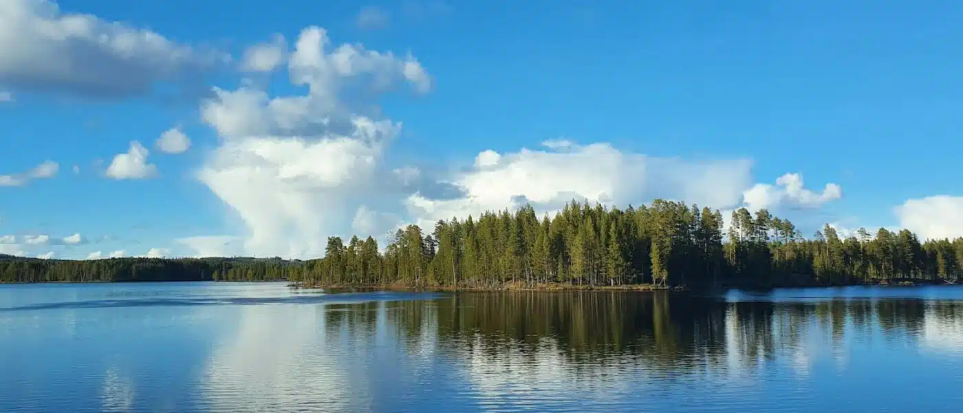 Forested islands and channels of Lake Saimaa in winter