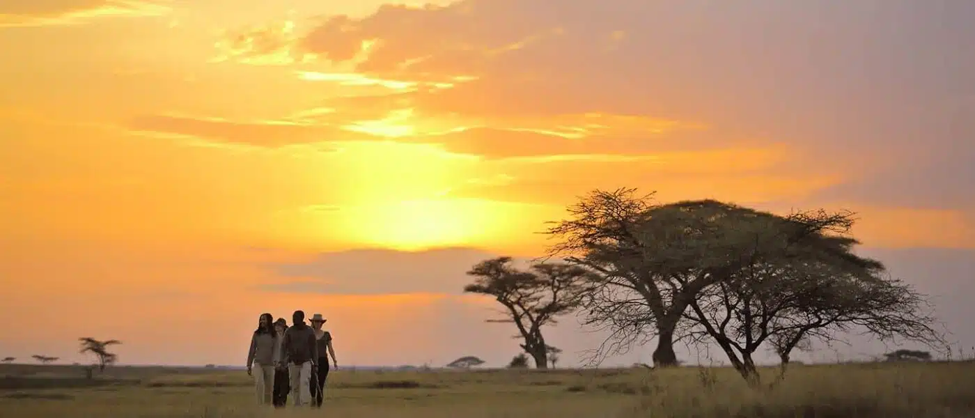 Wildebeest and zebra spread across the Serengeti plains