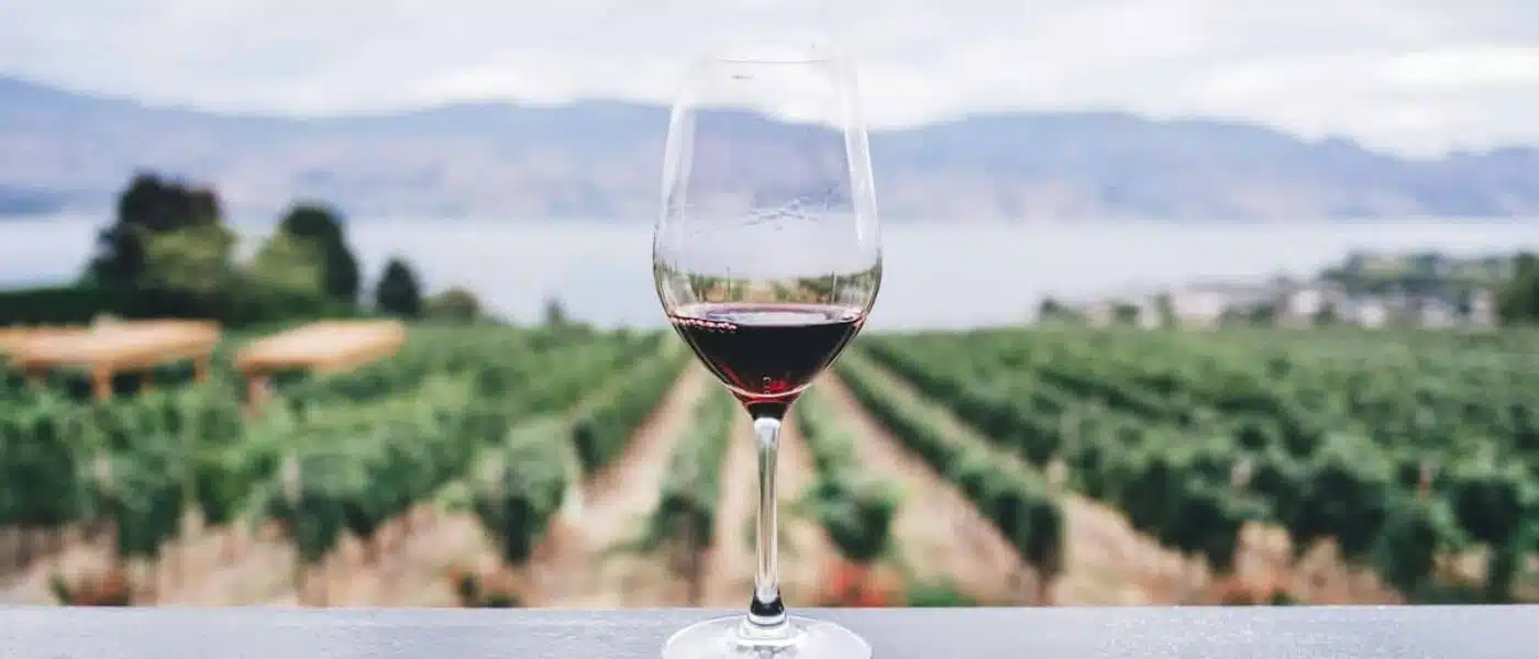 Glasses of Syrah and Chardonnay on a Hawke's Bay tasting table