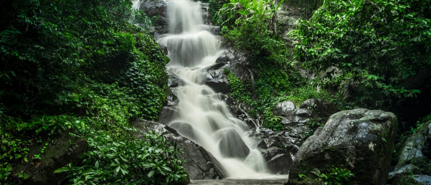 Rainforest-covered hills along the Andaman coast at Khao Lak