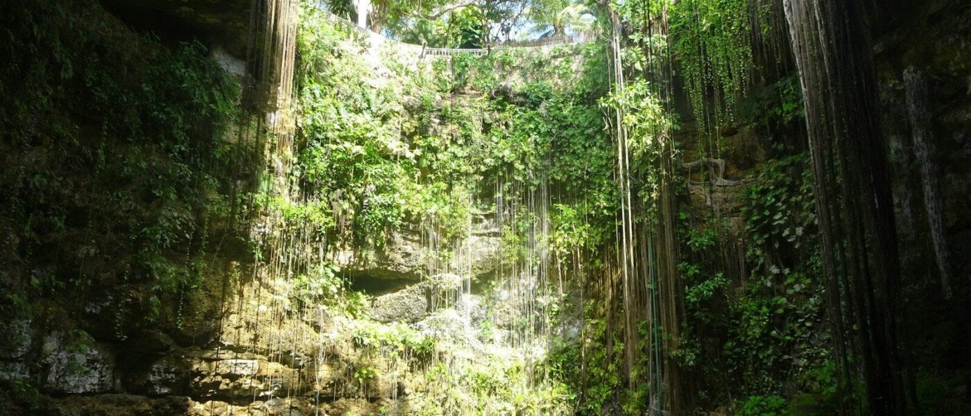 Stalactites and the shimmering halocline beneath a cenote's surface