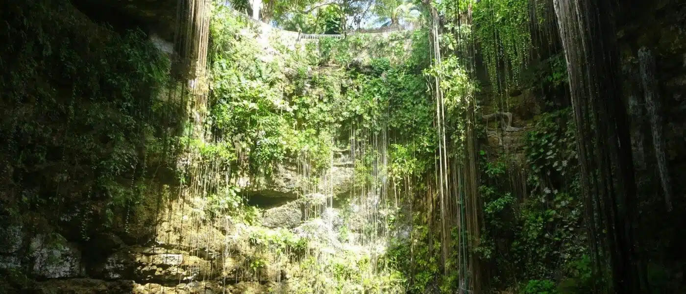 Stalactites and the shimmering halocline beneath a cenote's surface