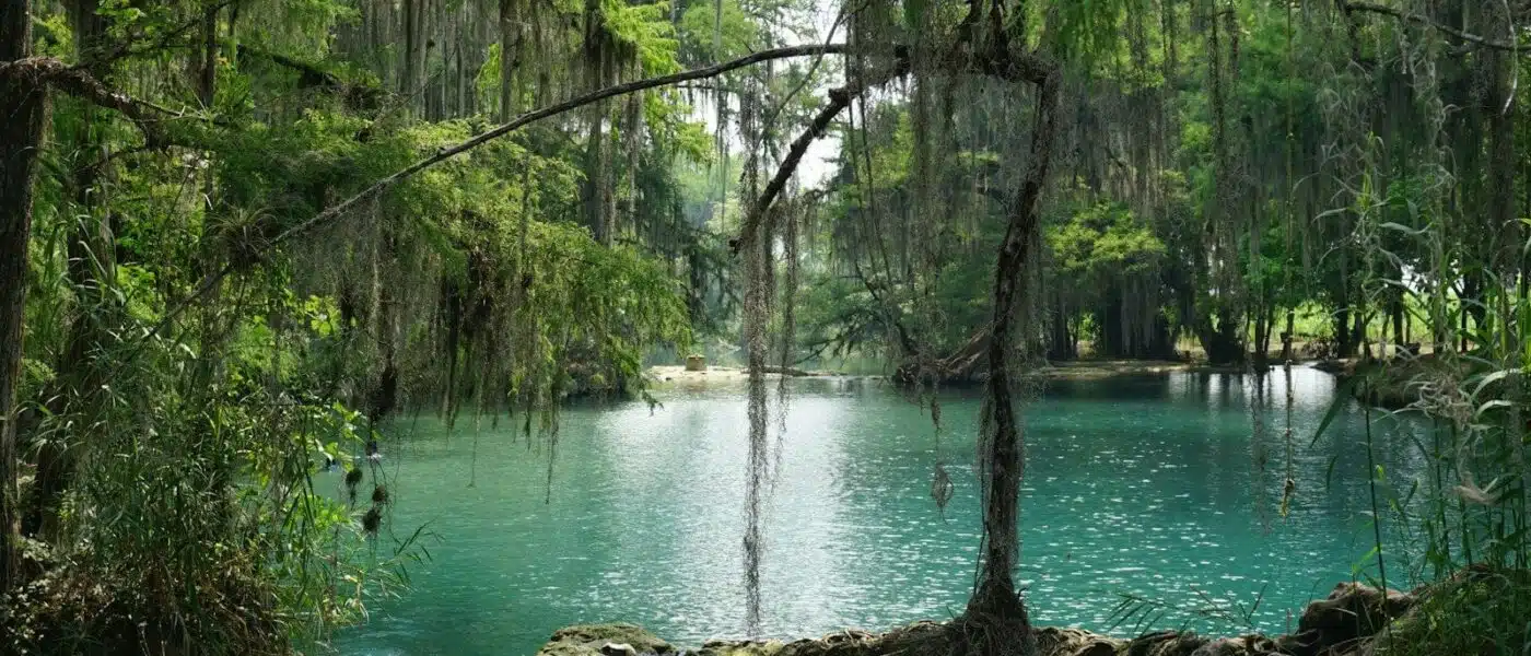 Vine-draped walls of Cenote Ik Kil near Chichén Itzá