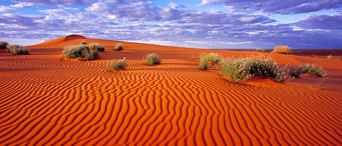 Courses featuring marula and wild herbs served on the dunes