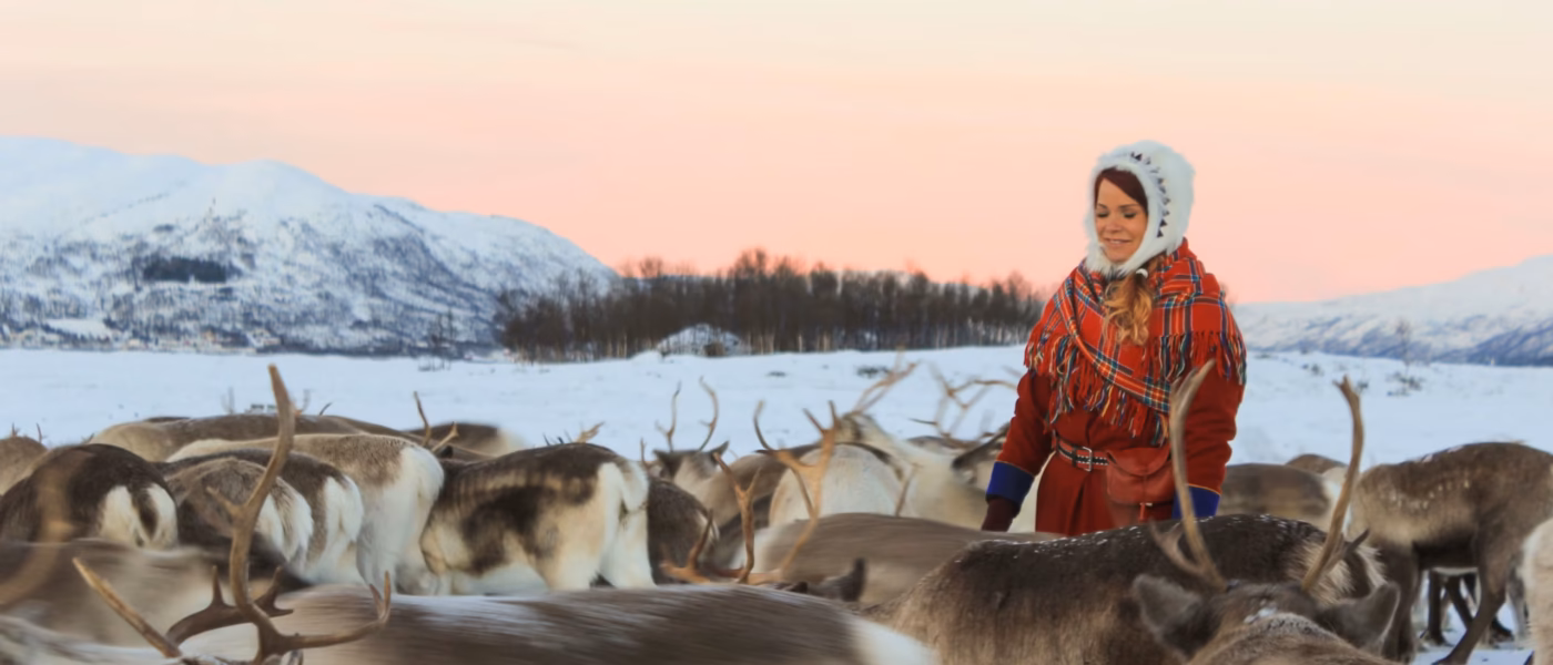 Guests talking with a Sámi herder beside the reindeer enclosure