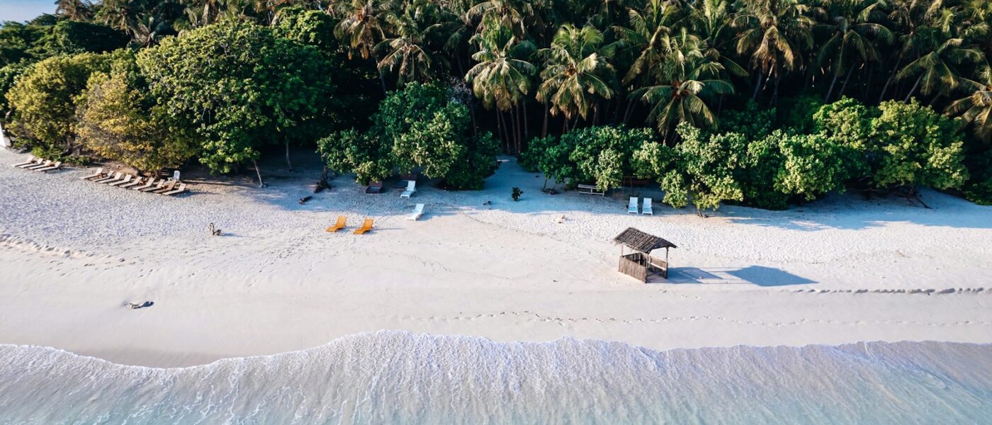 Chef-prepared seafood lunch served at a shaded table on a sandbank