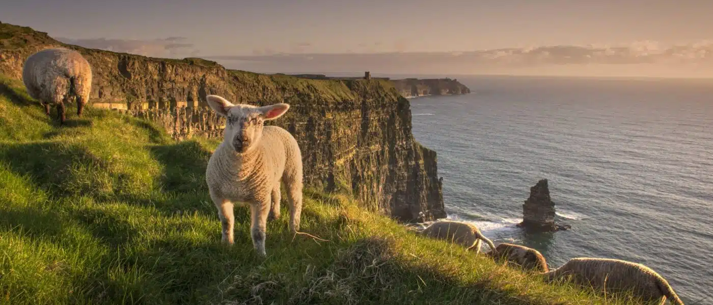 O'Brien's Tower on the edge of the Cliffs of Moher