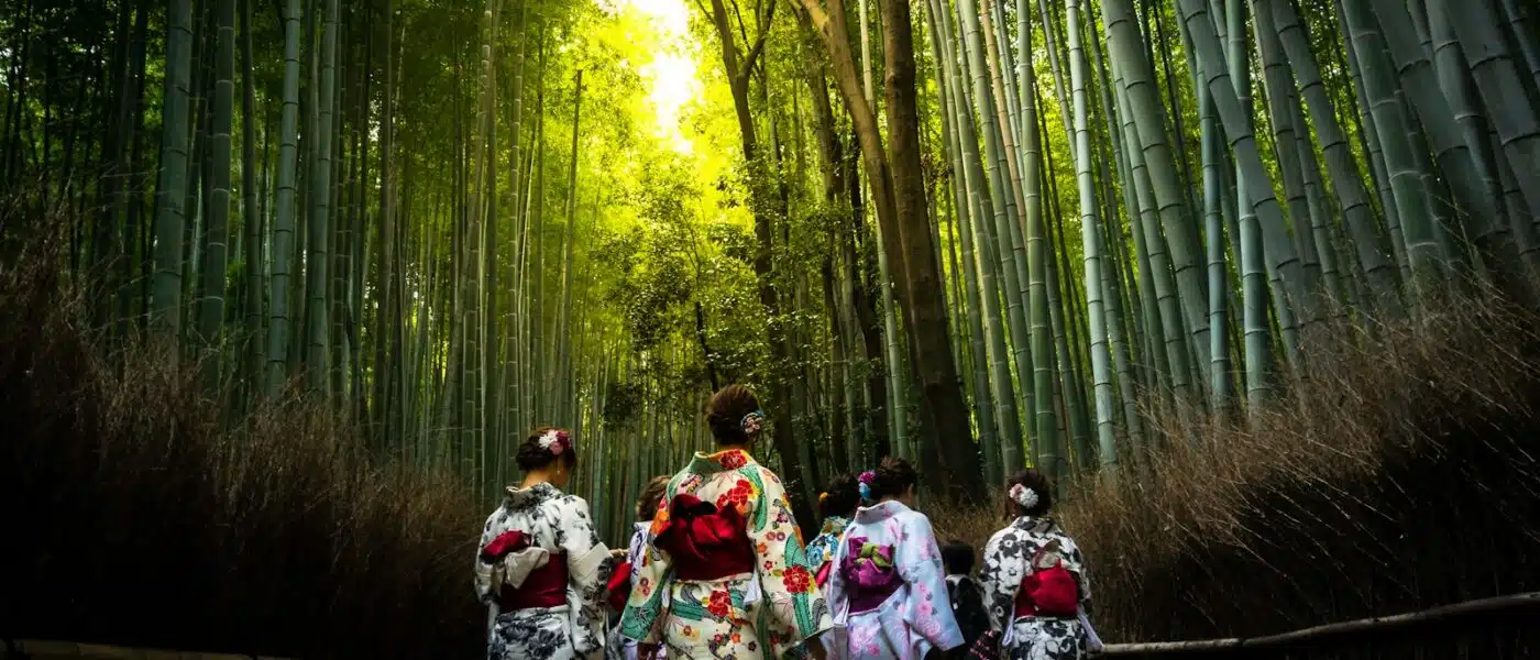 Guest photographing bamboo in portrait orientation with guidance