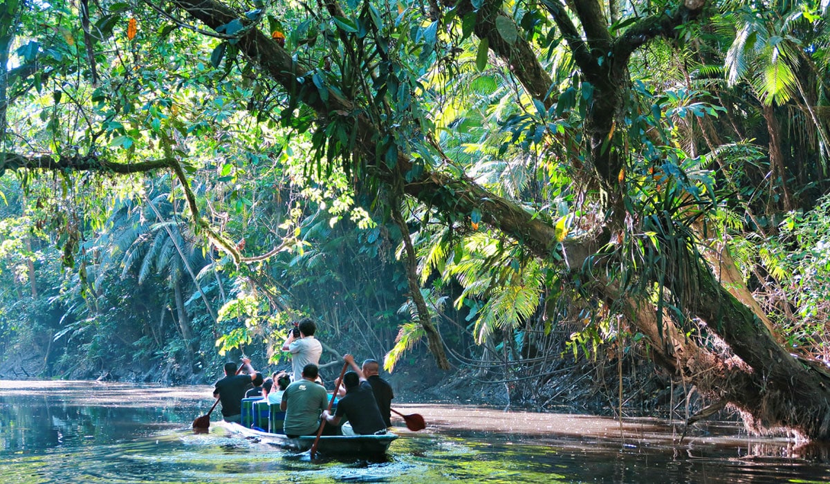 Days 3-6: The Amazon