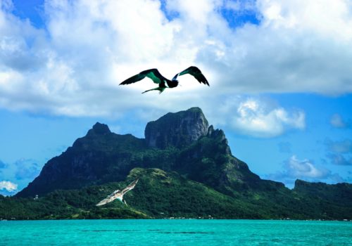 Gay Group Trip: Sailing Tahiti