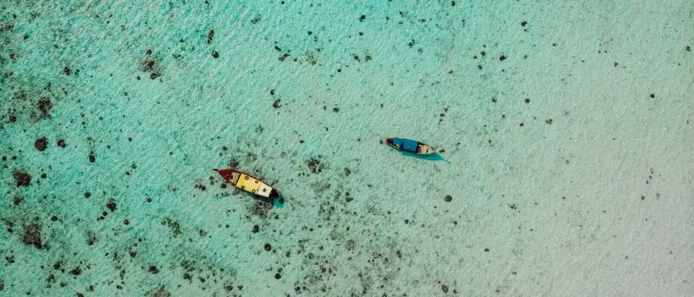 Manta ray gliding over a coral cleaning station in Bora Bora's lagoon
