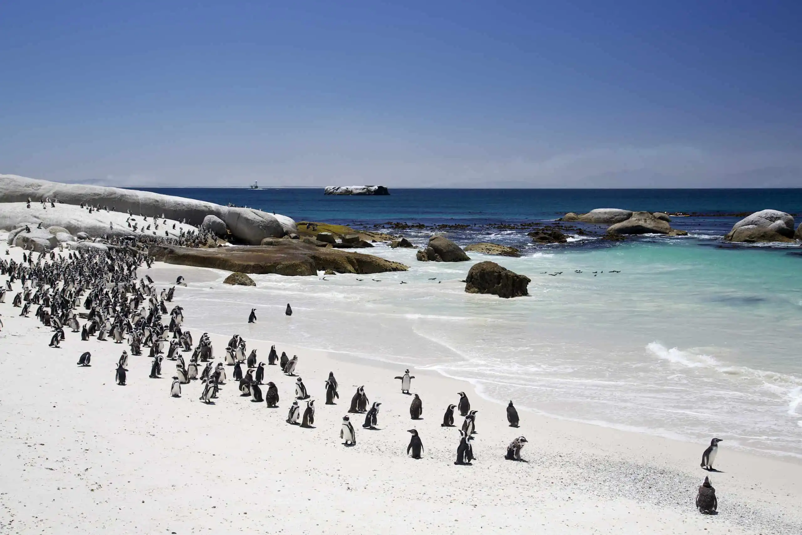 Gay Group Trip: South Africa Explorer