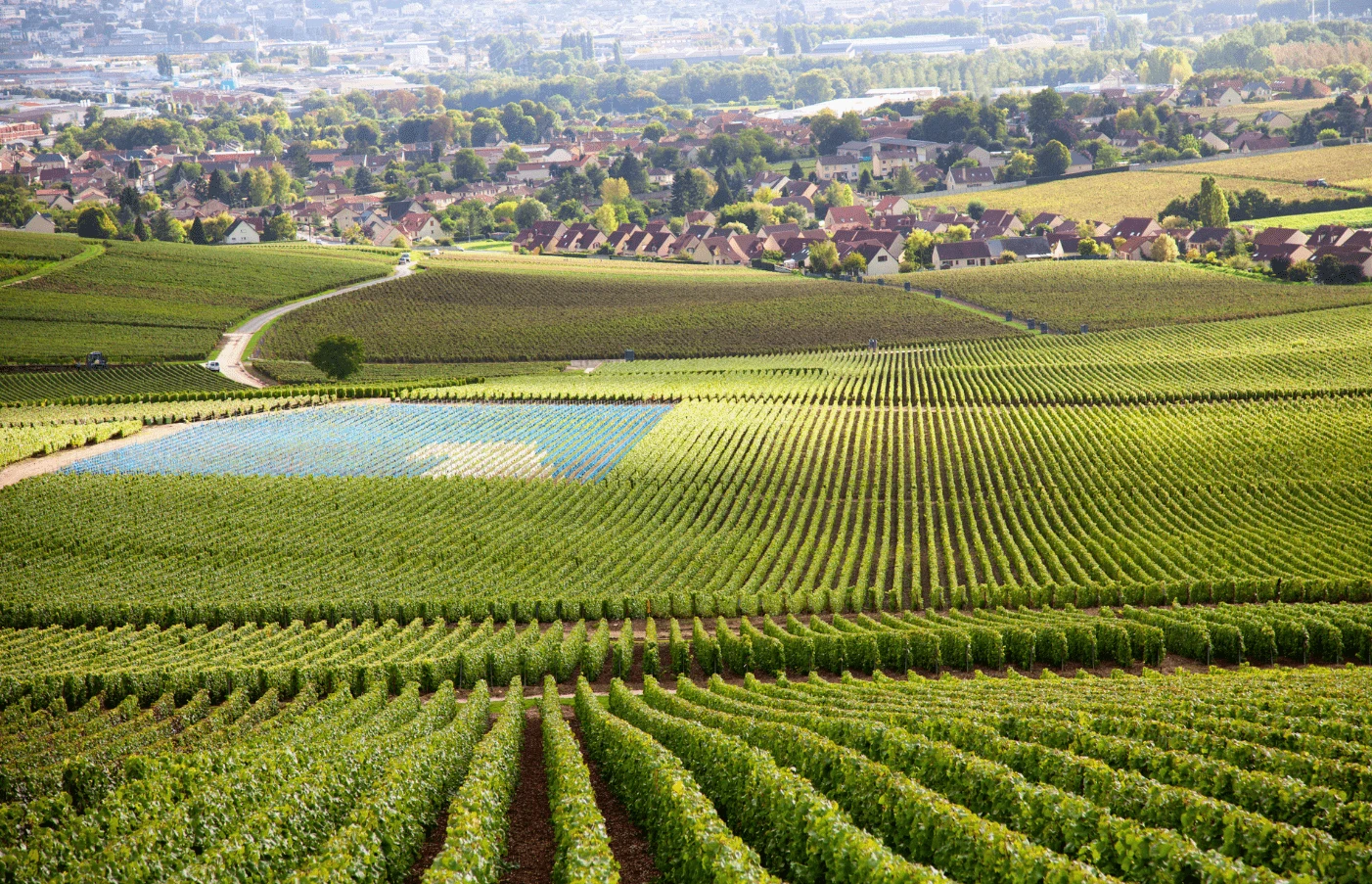 Gay Group Trip: The Essence of Burgundy & Provence River Cruise