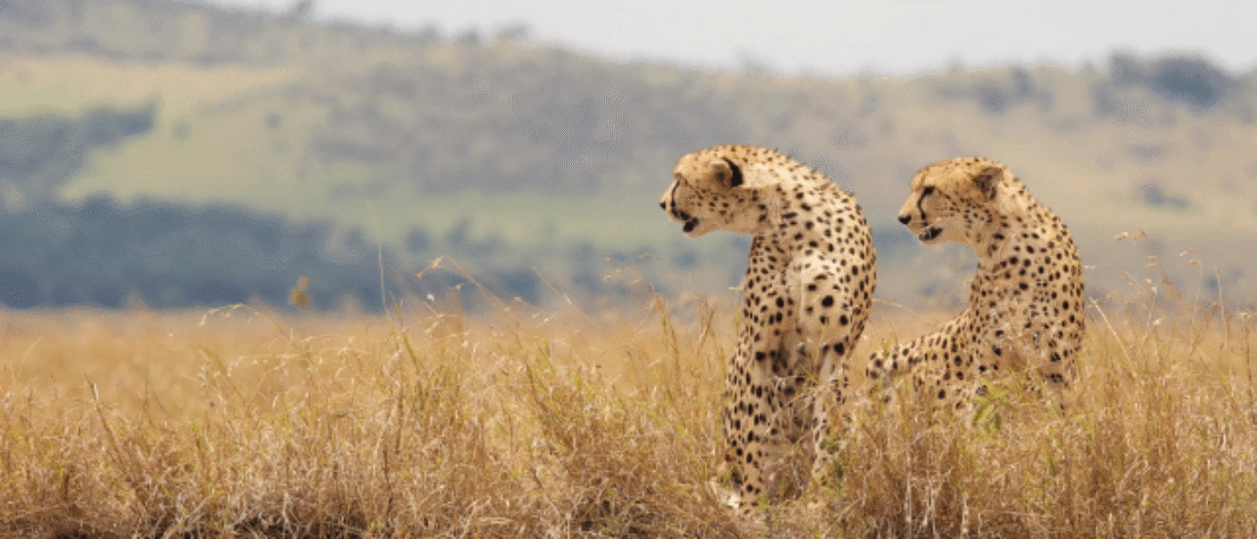 Kruger National Park