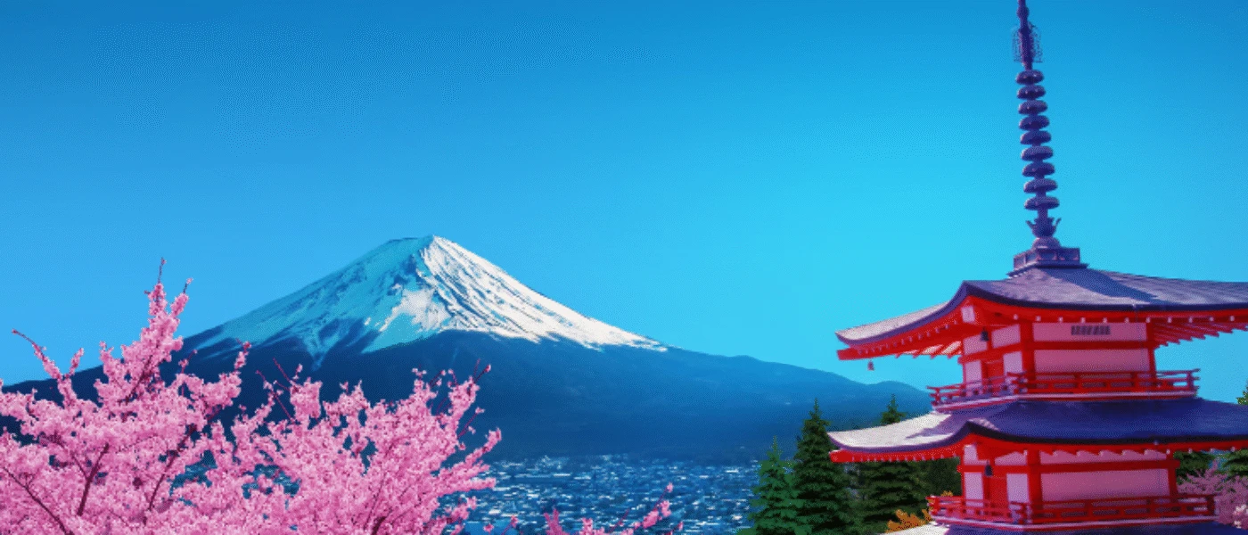 Cherry Blossom Season in Japan: A Gay Travel Guide