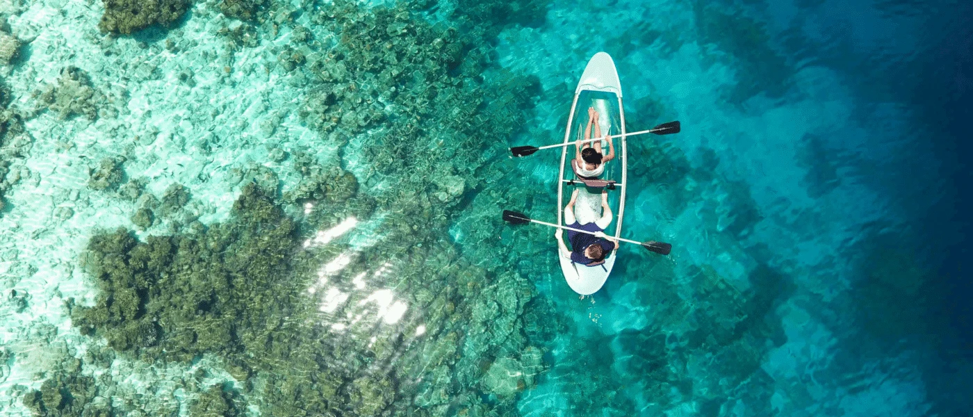 Maldives: The Best House Reefs