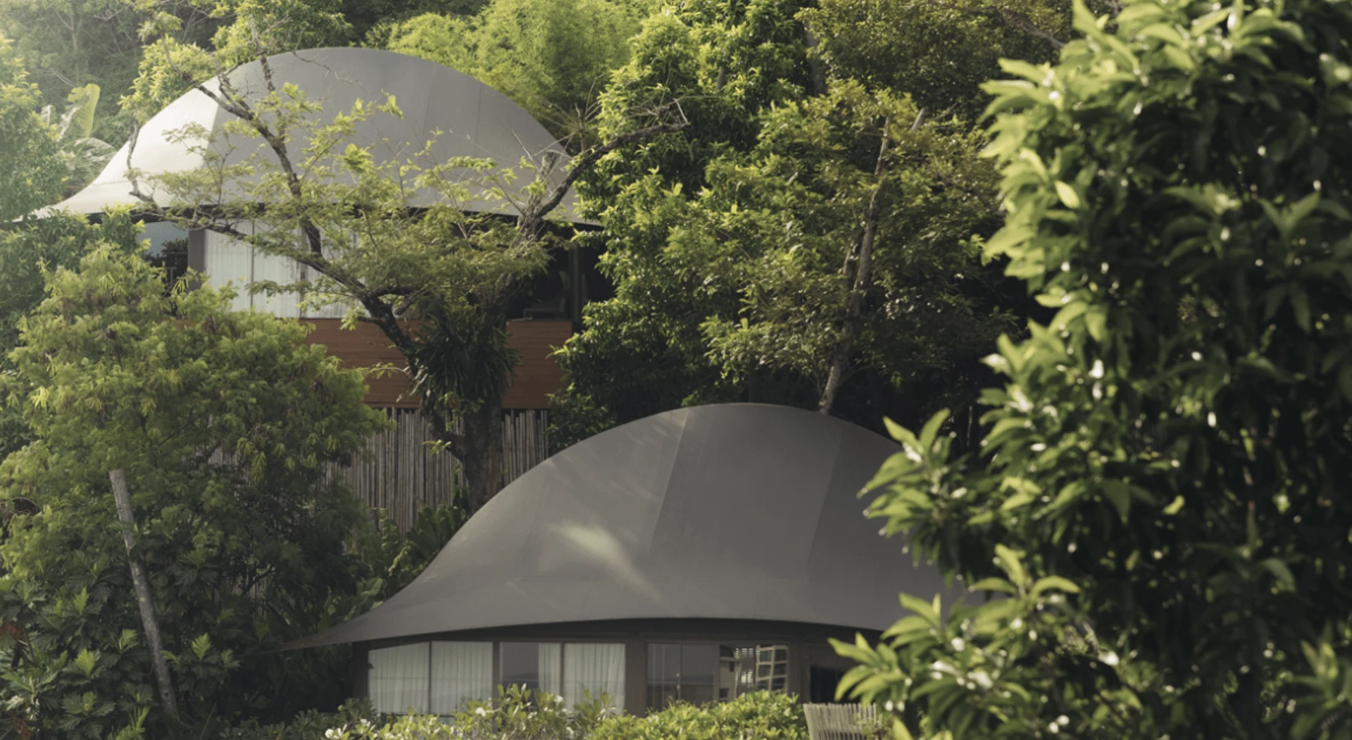 Thailand Wellness Escape: 9-Days in Chiang Mai & Phuket