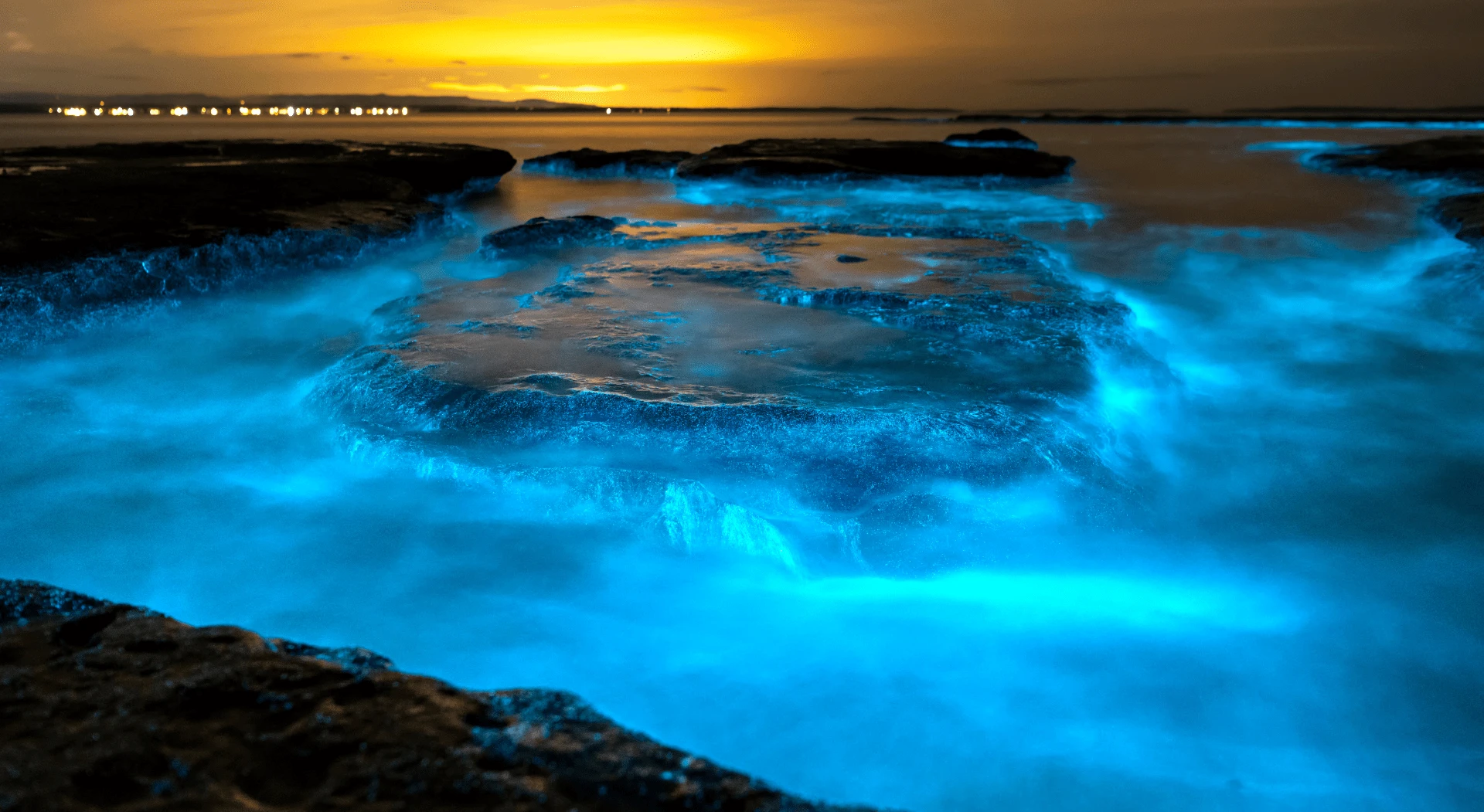 Mosquito Bay. Puerto Rico