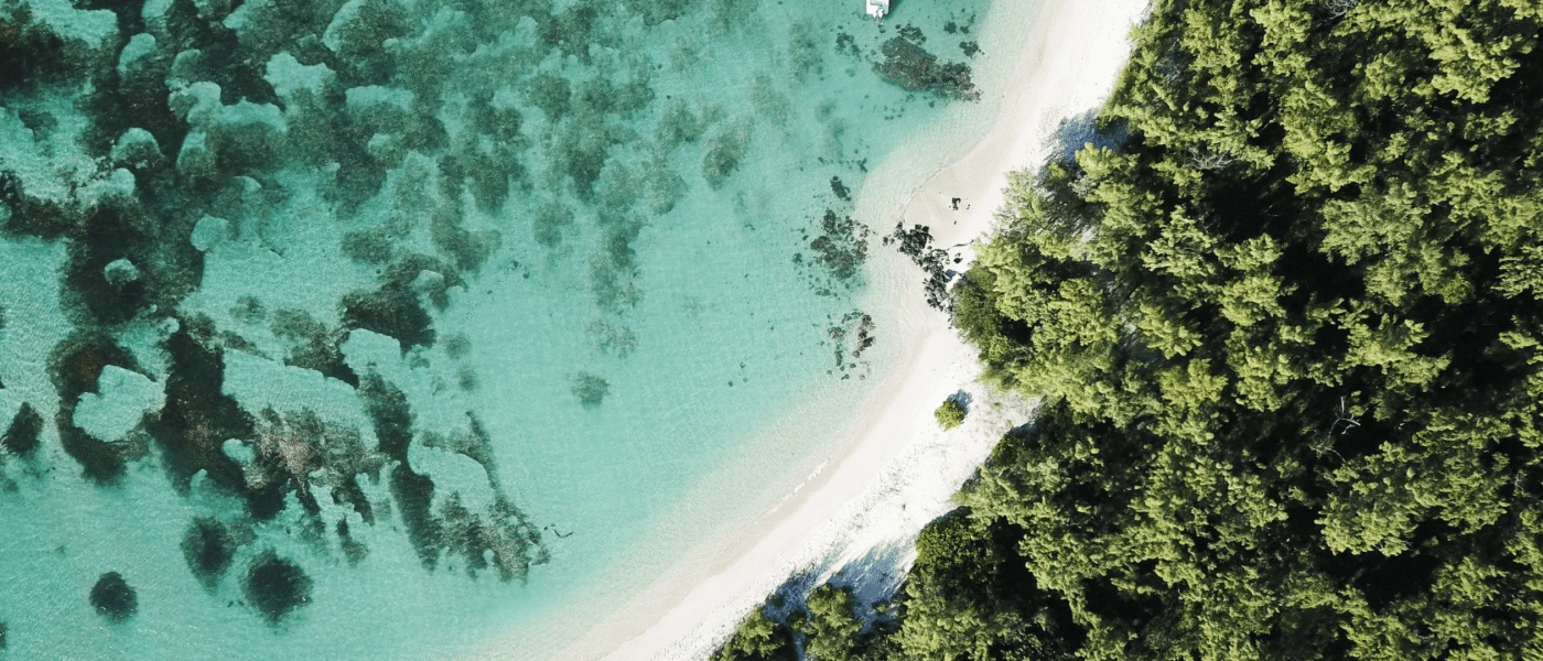 A video guide to South Africa and Mauritius