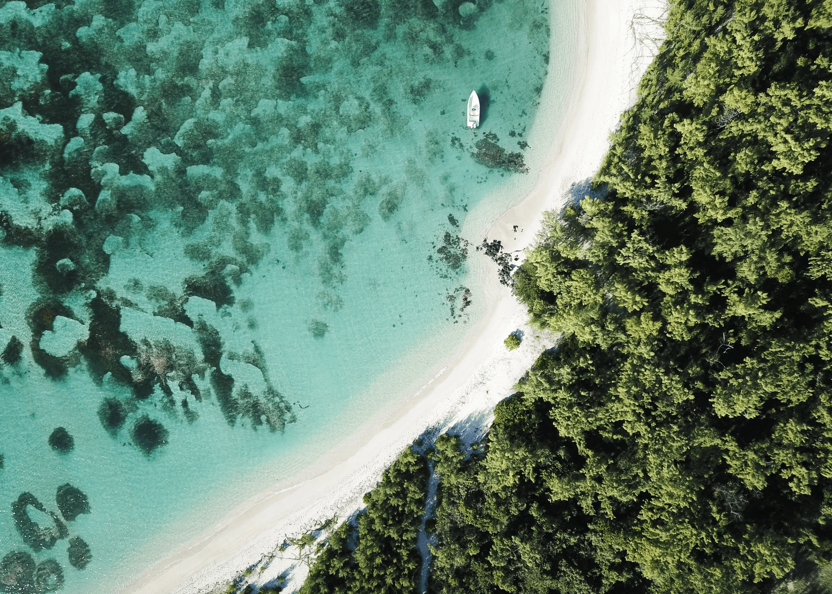 Luxury A video guide to South Africa and Mauritius vacations