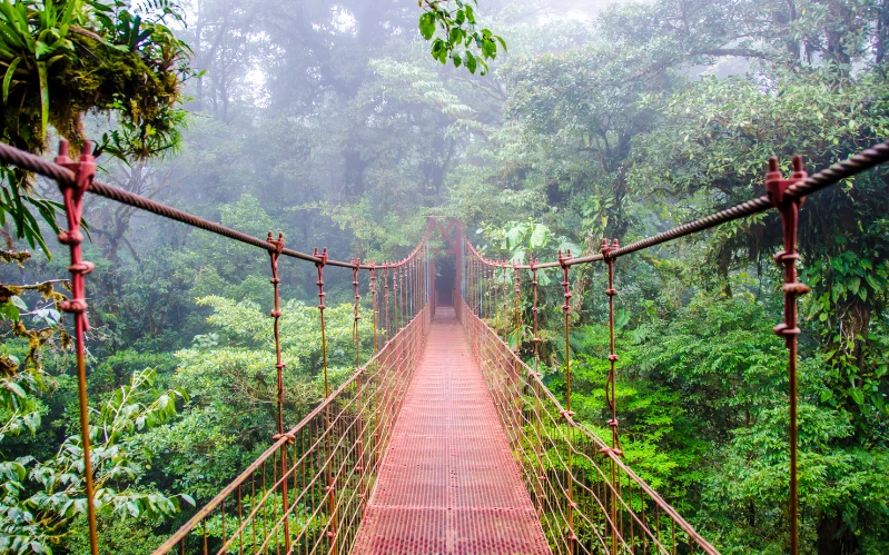 Day 7: The Cloudforest