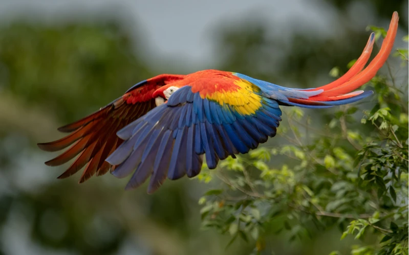 Costa Rica Family Adventure