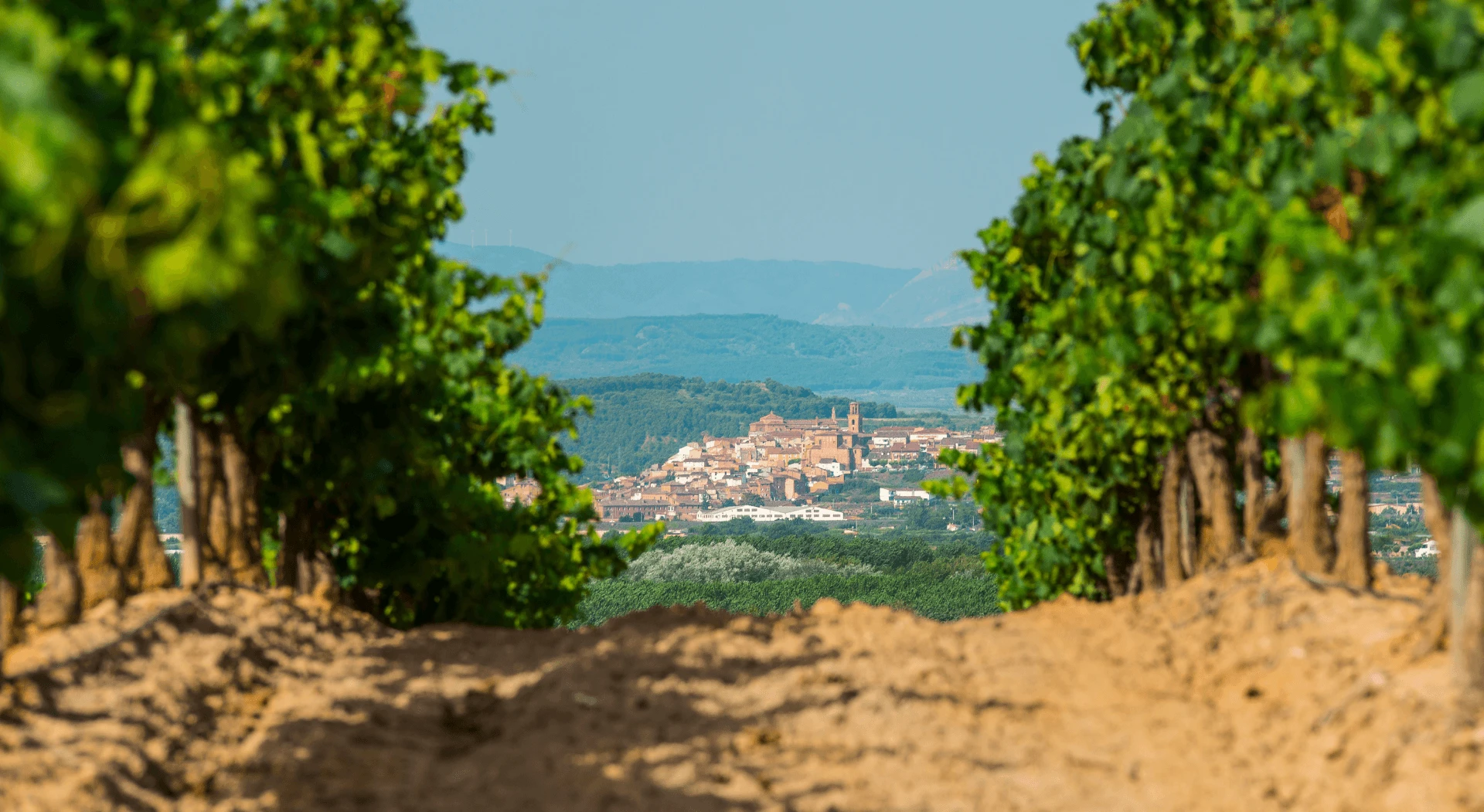 Culinary Tour Of Spain: Barcelona to Seville