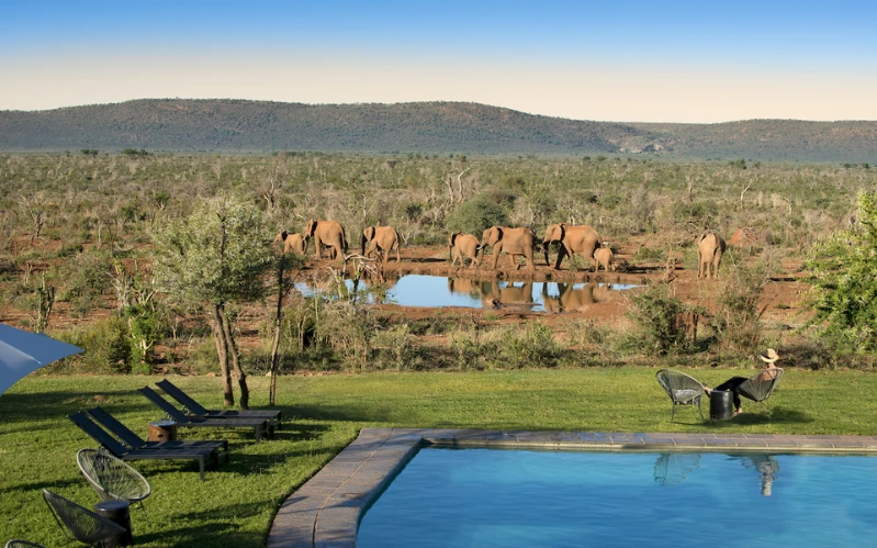 South Africa Big Five Safari & Johannesburg Tour