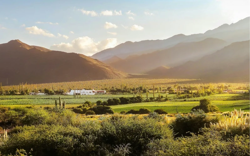 Northern Argentina Explorer: Salta & Jujuy’s Colorful Northwest