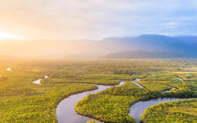 Brazil’s Eco-Luxury Lodges: Amazon & Pantanal – Amazon Cruise & Jungle Lodge Experience