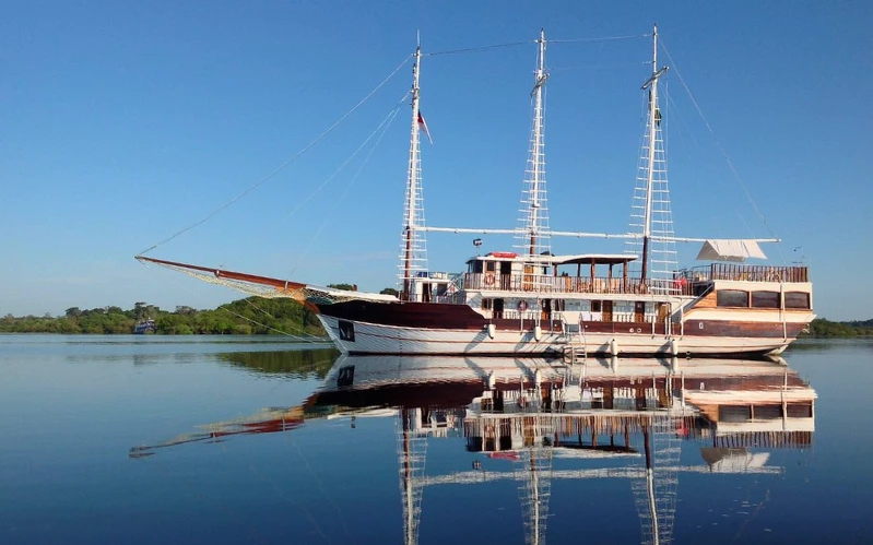 Brazil’s Eco-Luxury Lodges: Amazon & Pantanal – Amazon Cruise & Jungle Lodge Experience