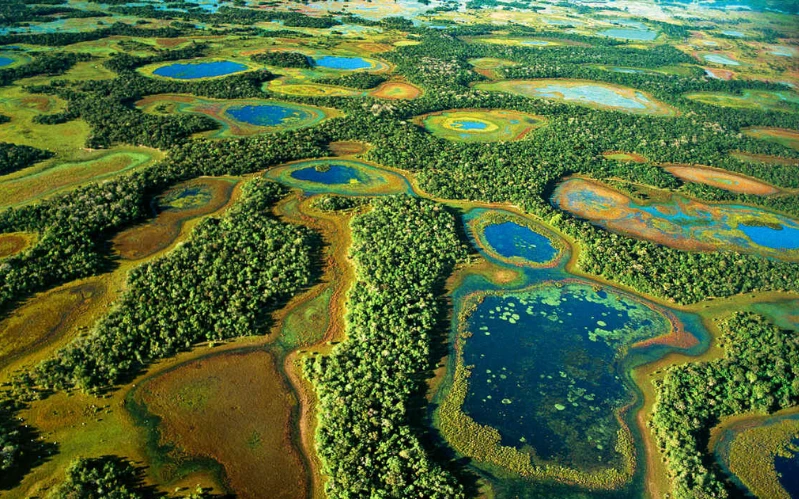 Brazil’s Eco-Luxury Lodges: Amazon & Pantanal – Amazon Cruise & Jungle Lodge Experience