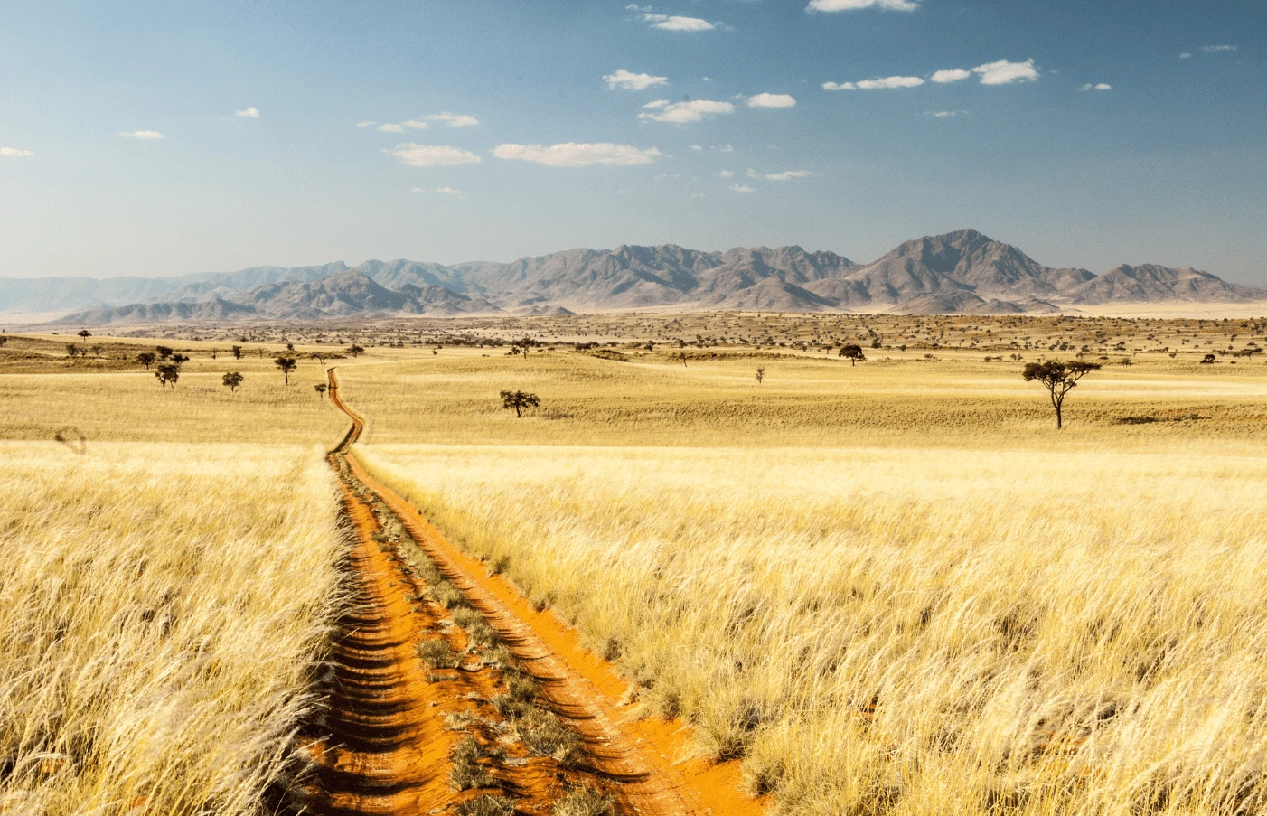 Deserts & Savannas Namibia Safari