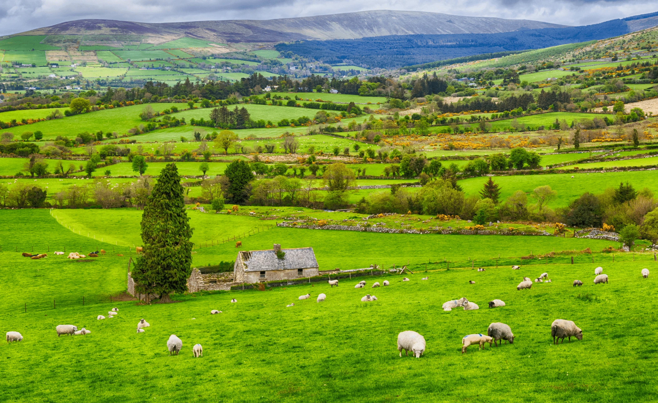 A Gay Honeymoon in Ireland: Dublin and the Wild Atlantic Way