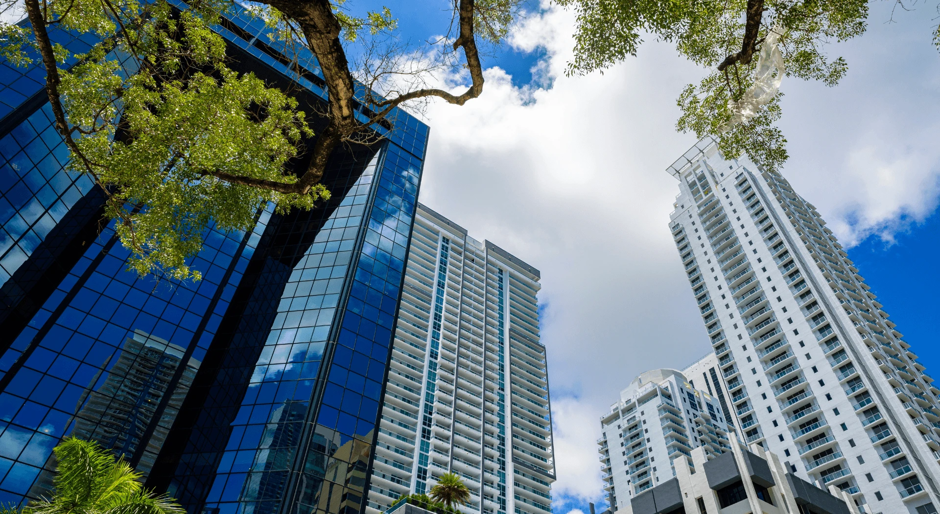 Miami and Fort Lauderdale