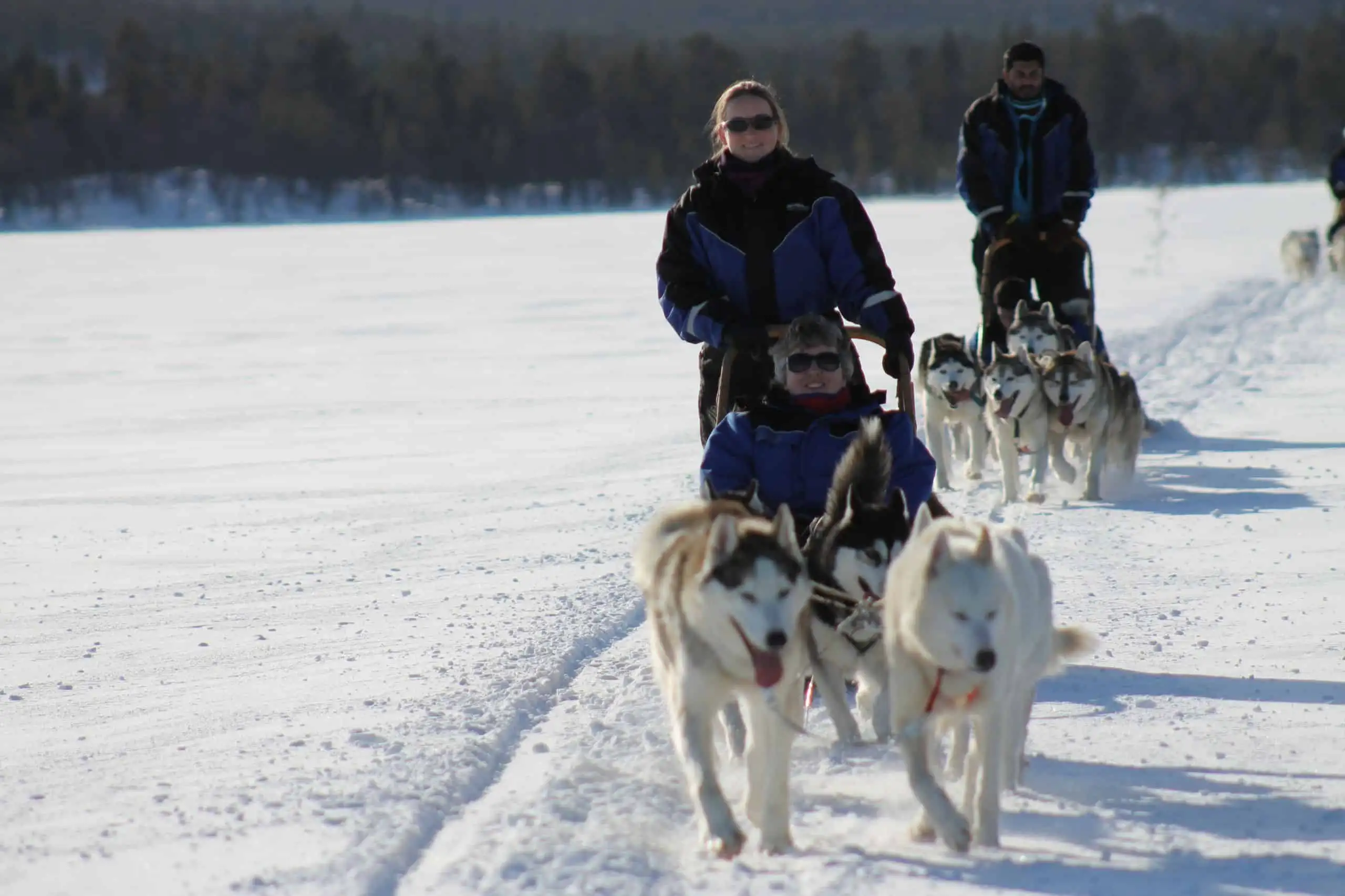 Husky Sledding