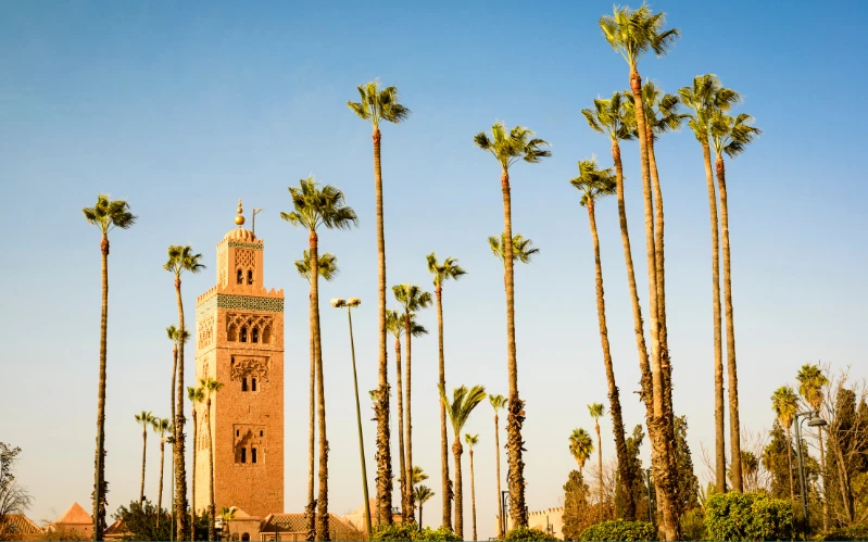 Day 1: Arrival in Marrakech