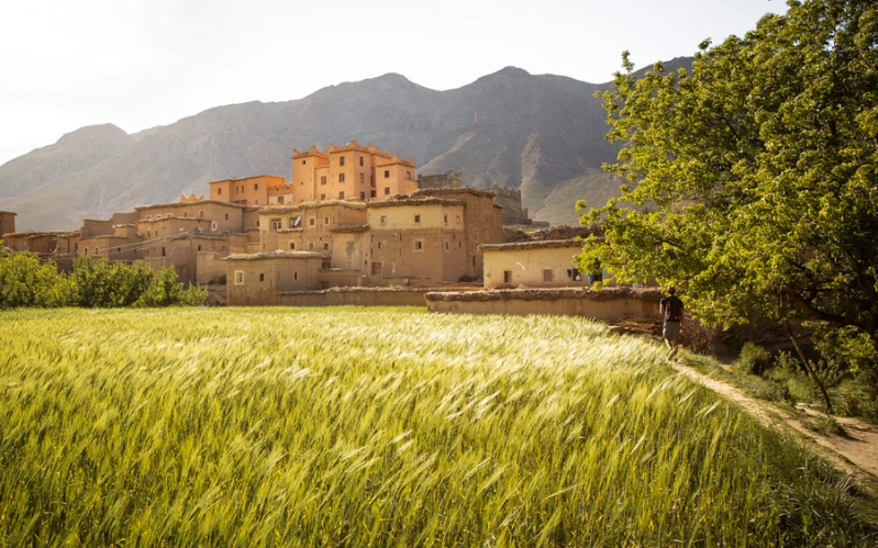 High Atlas Treks & Berber Valley Culture