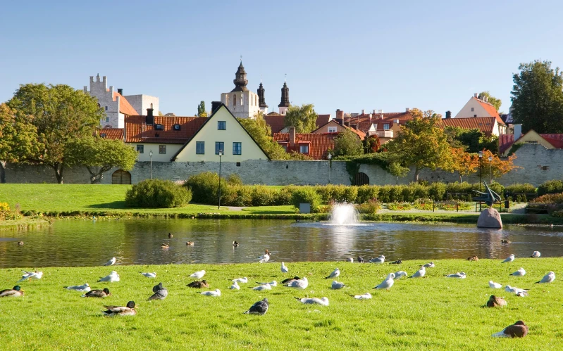 Day 4: Gotland Countryside - Rural Luxury Retreat