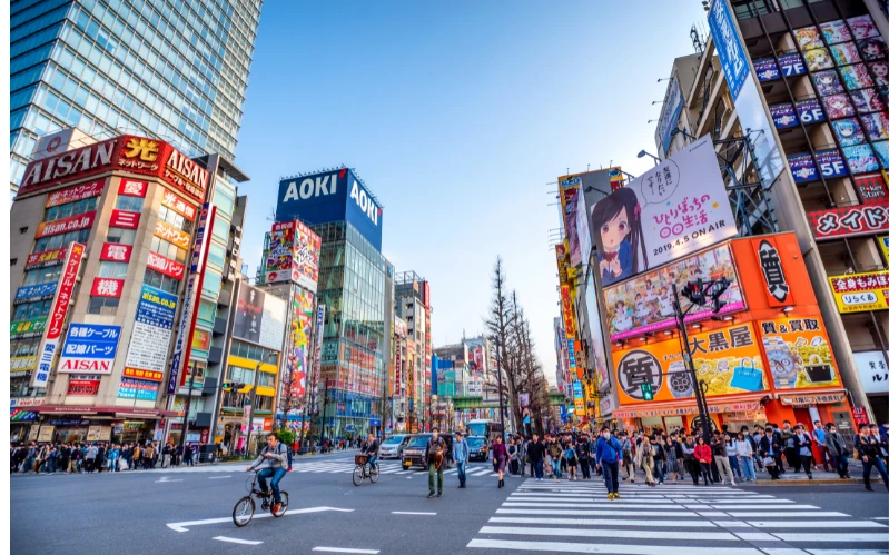 Cherry Blossom Japan Tour: Tokyo & Kyoto