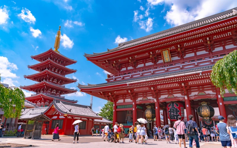 Cherry Blossom Japan Tour: Tokyo & Kyoto