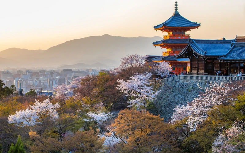 Cherry Blossom Japan Tour: Tokyo & Kyoto