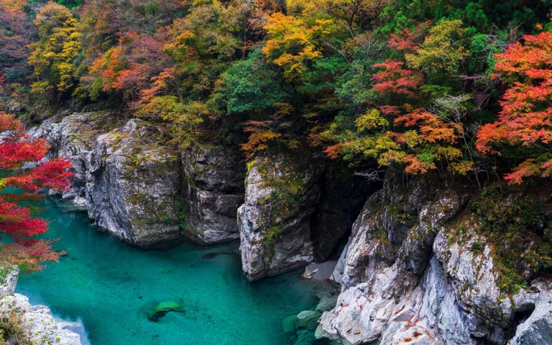 Shikoku & Naoshima Tour – Art, Hot Springs & Rural Japan