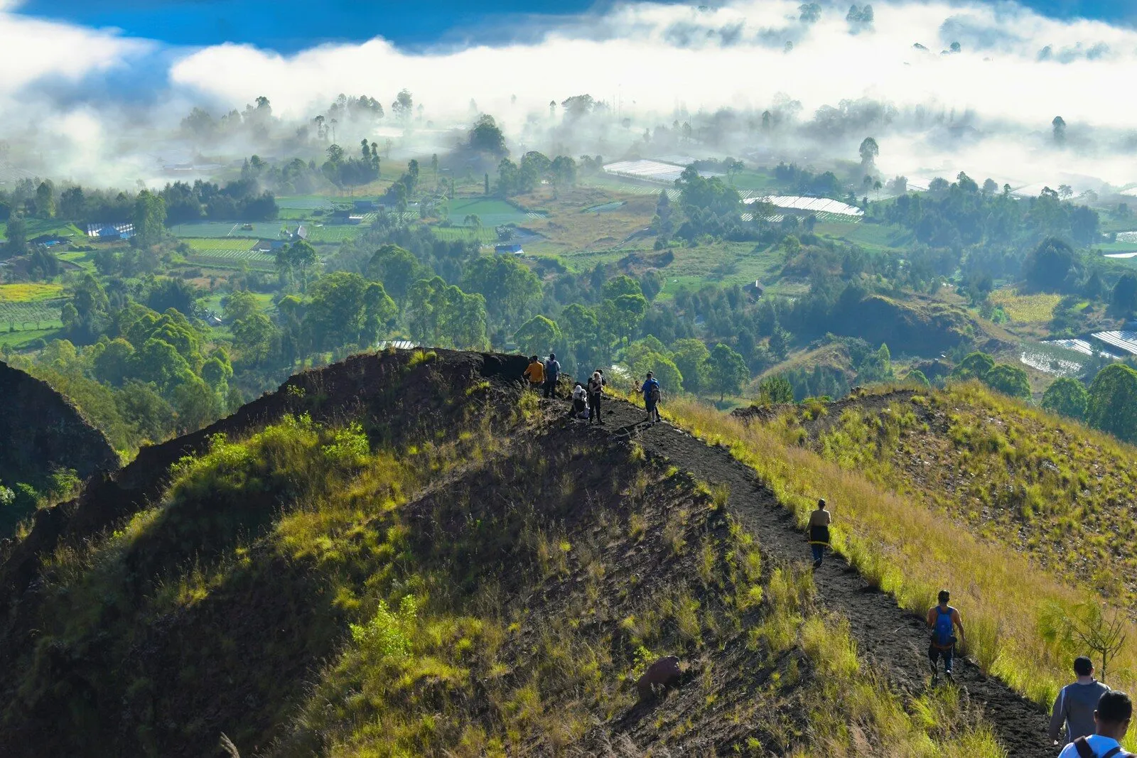 Day 3: Rice Terraces and Mount Batur