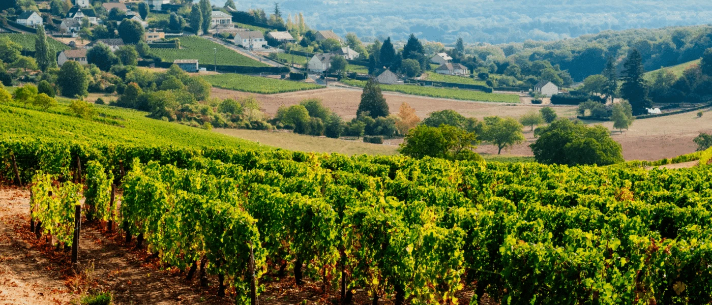 The Finest Wine Regions of the World