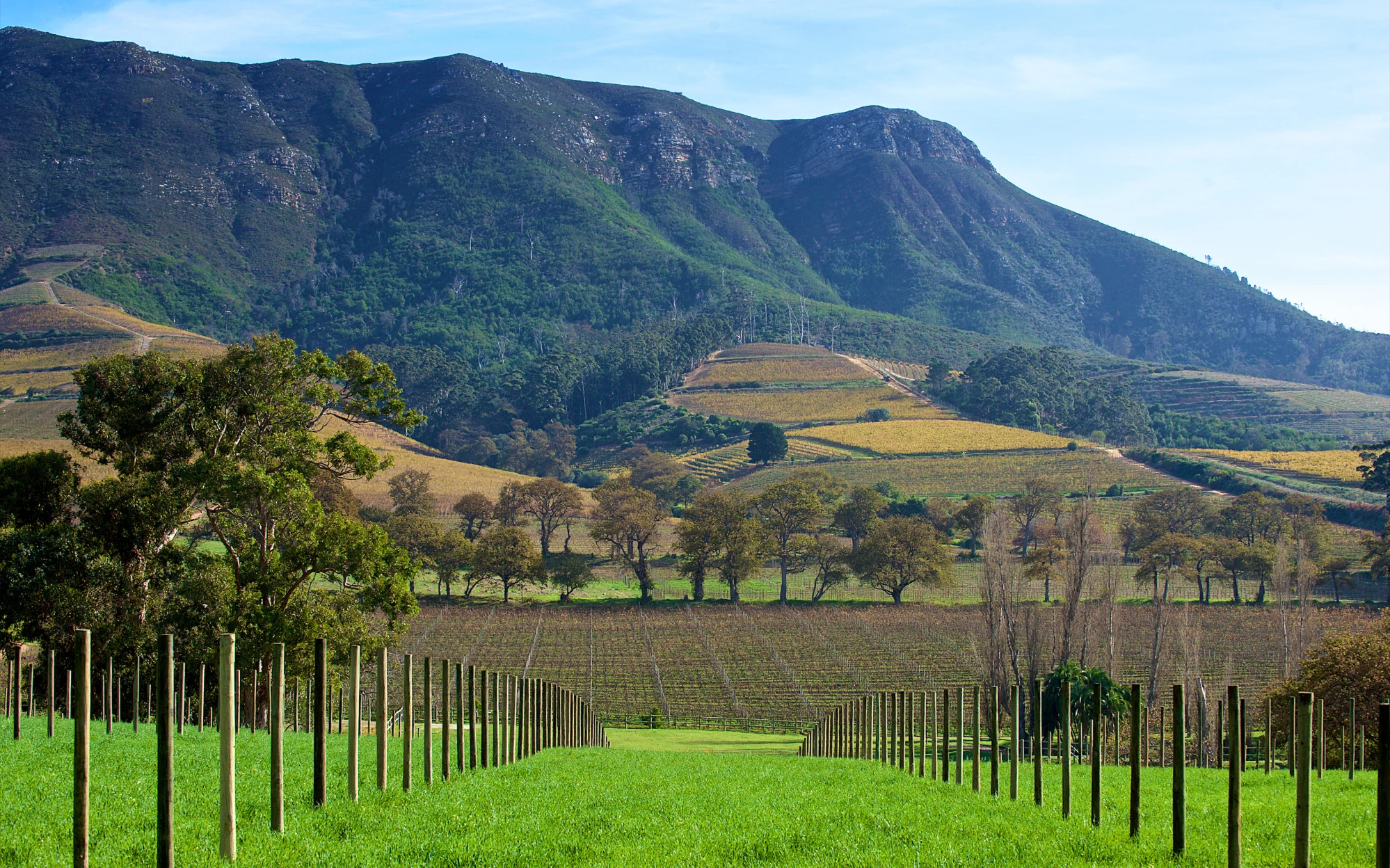 Cape Town & Franschhoek: Wine Region Tour