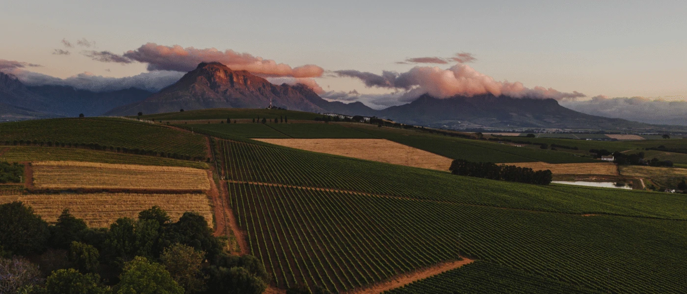 The Best Luxury Experiences in South Africa's Winelands