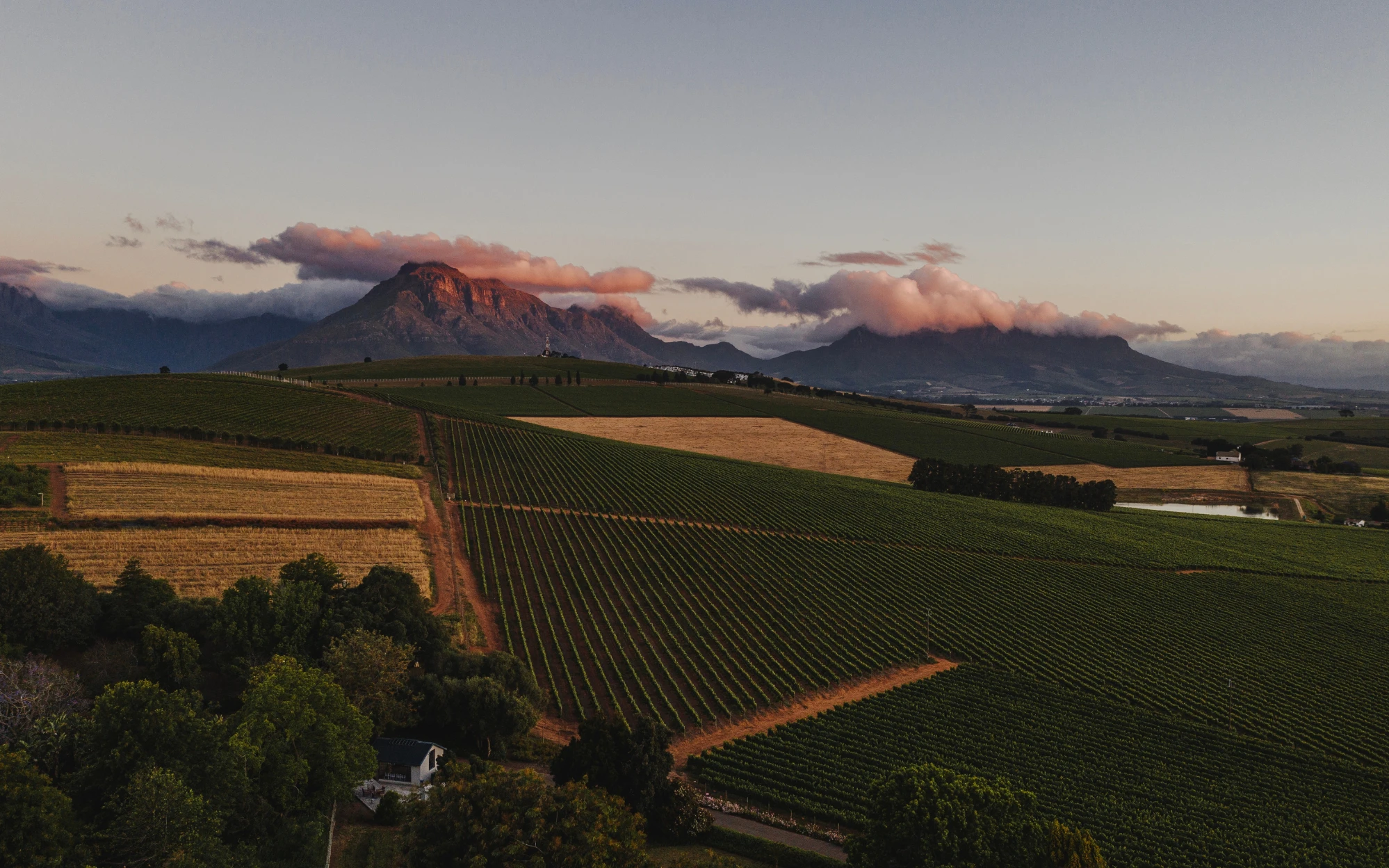 The Best Luxury Experiences in South Africa’s Winelands