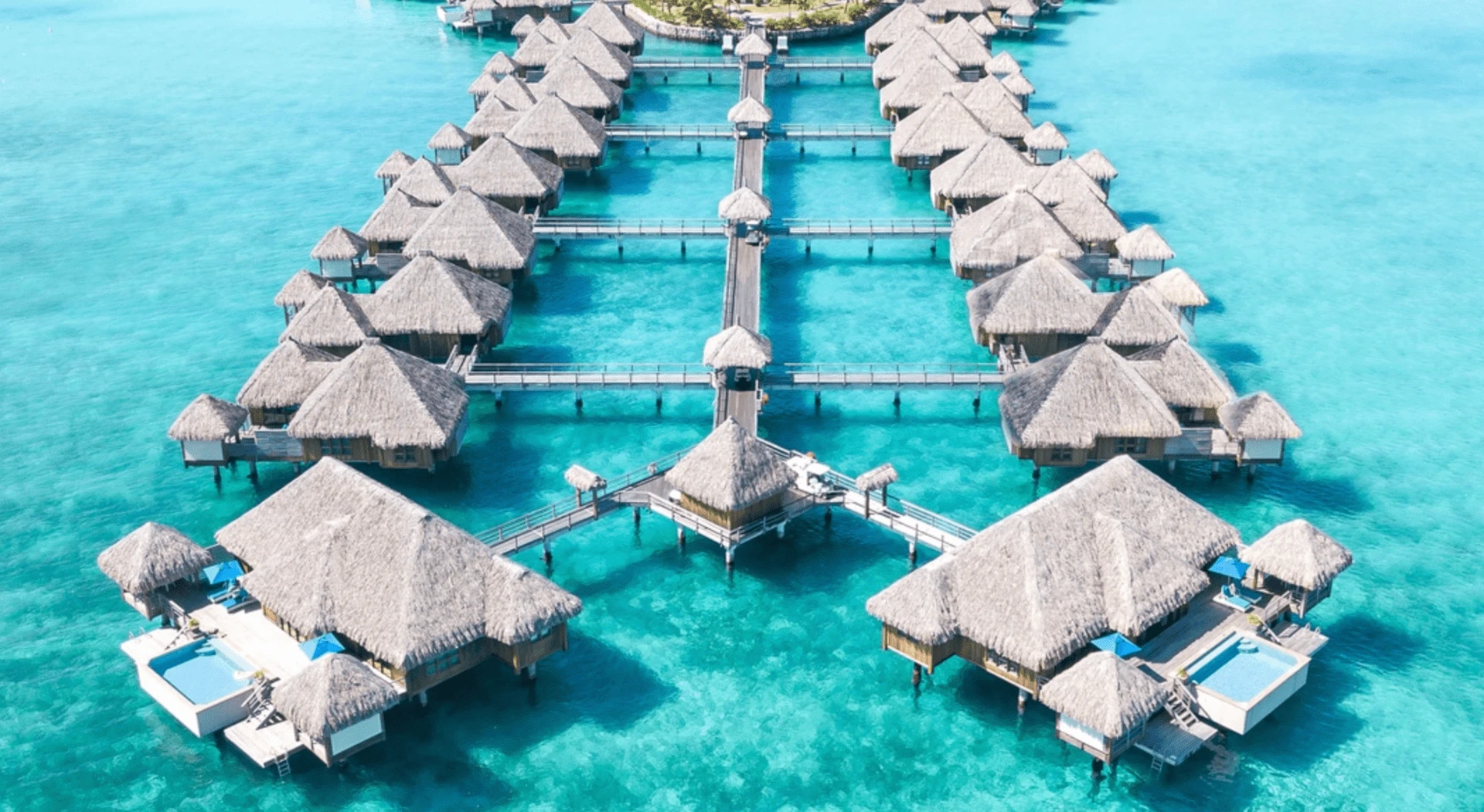 The Maldives