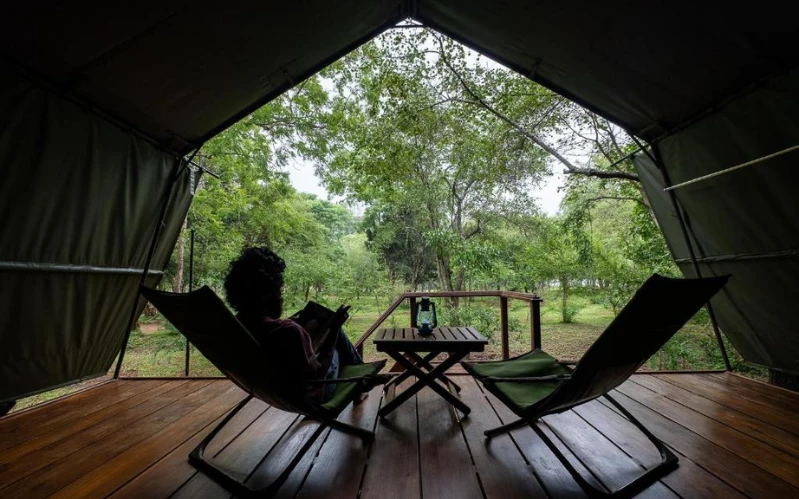 Sri Lanka Wildlife and Culture Tour